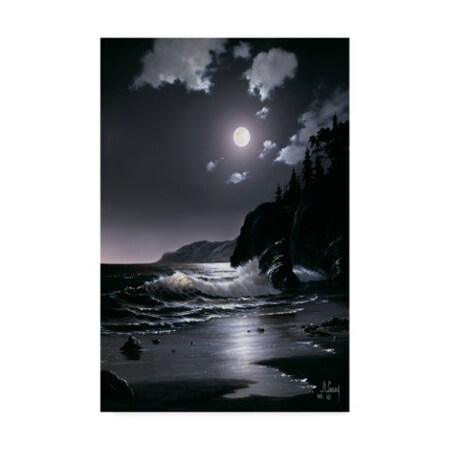 Anthony Casay 'Night Coast 3' Canvas Art,22x32